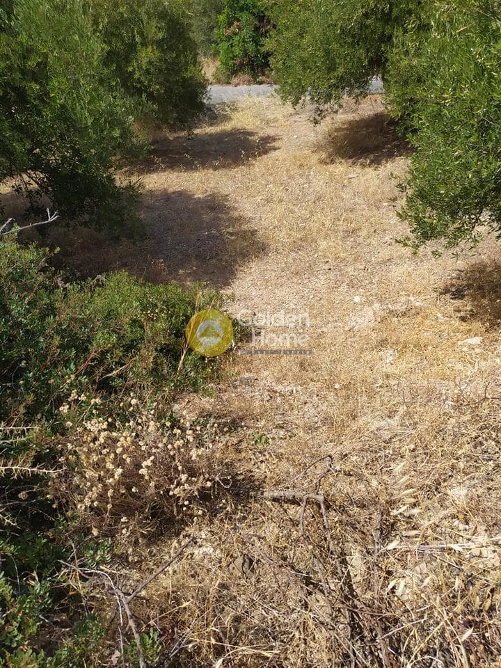 Building Plot in Pantanassa, Gazi — Photo 3 of 21
