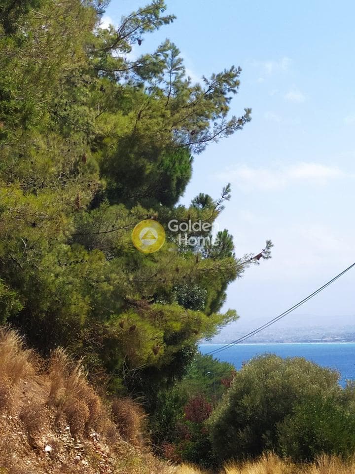 Building Plot in Pantanassa, Gazi — Photo 13 of 21