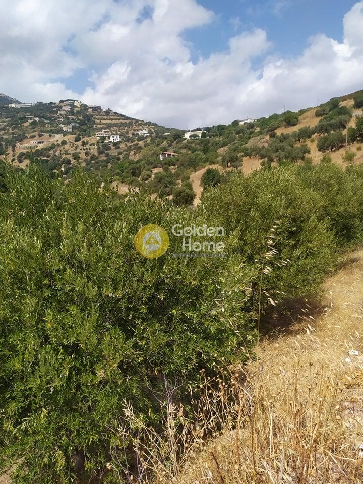 Building Plot in Pantanassa, Gazi — Photo 21 of 21