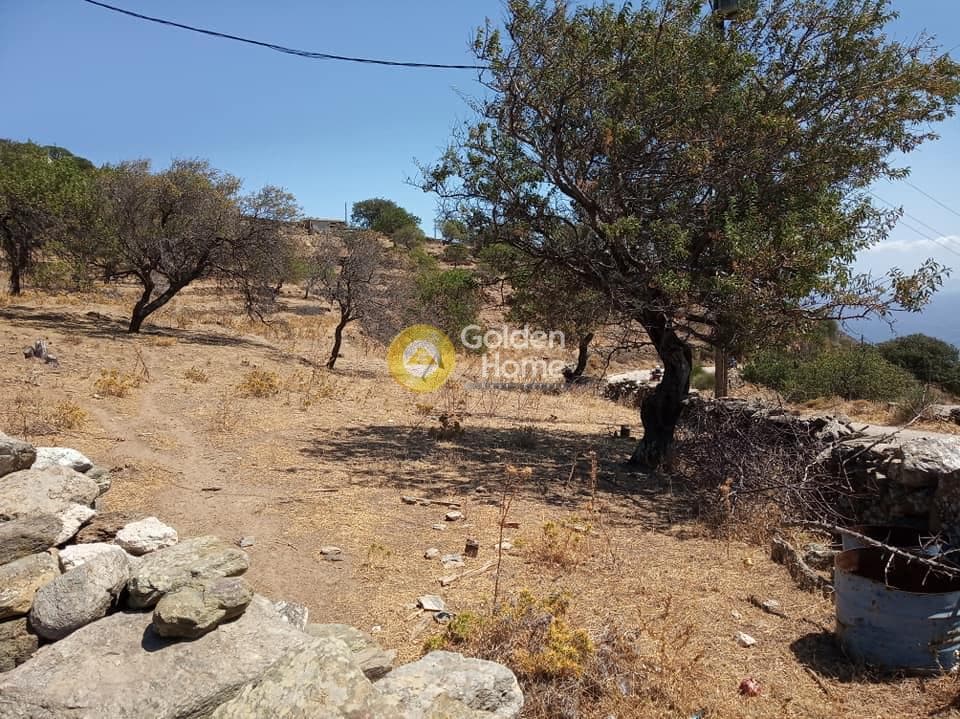 Οικόπεδο στην Πέρα Μεριά, Κέα — Φωτογραφία 6 από 8