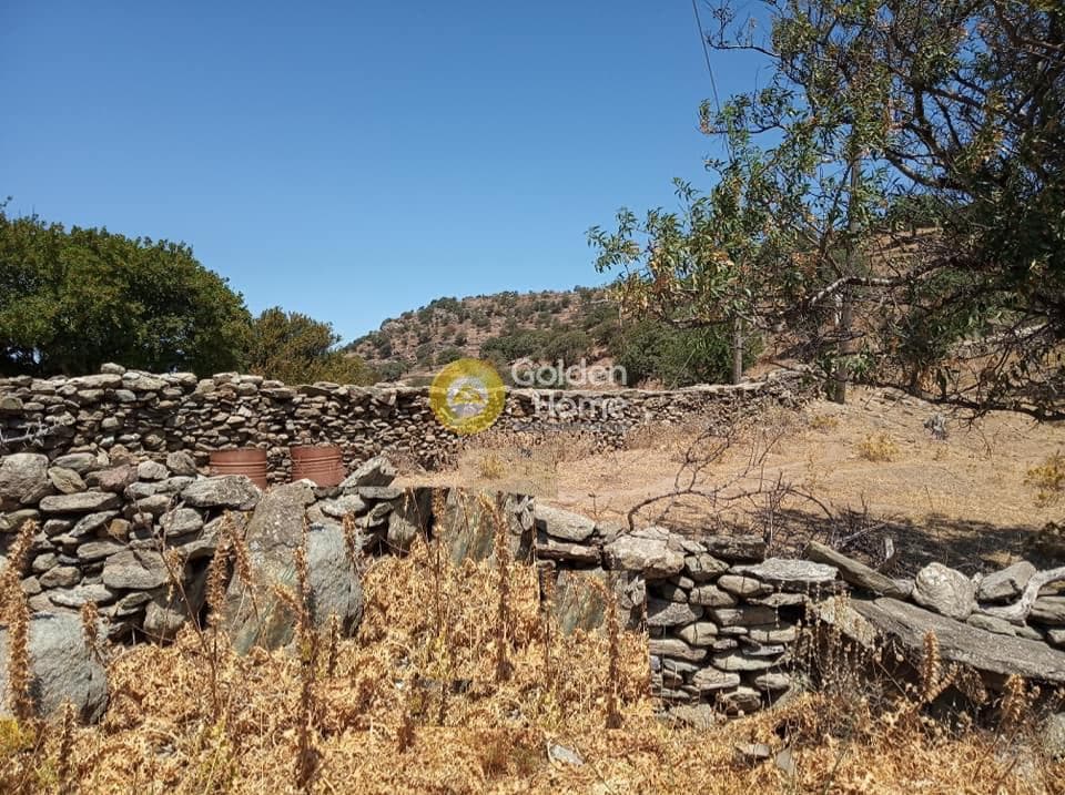Οικόπεδο στην Πέρα Μεριά, Κέα — Φωτογραφία 8 από 8