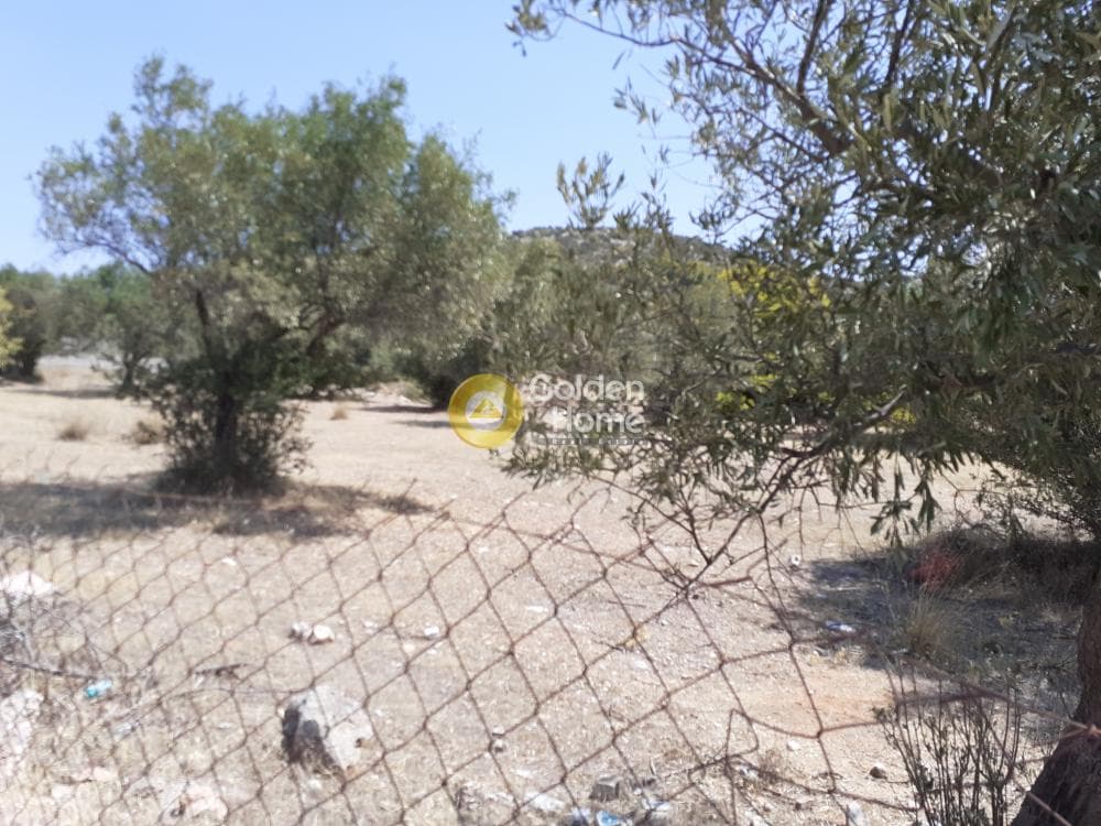 Building Plot in Lamprika, Koropi — Photo 17 of 24