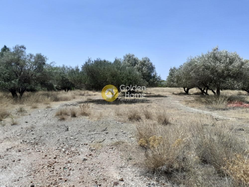 Building Plot in Lamprika, Koropi — Photo 23 of 24