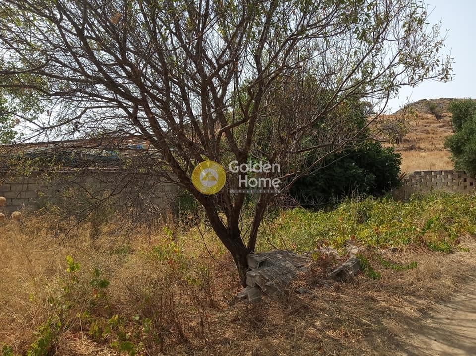 Building Plot in Gialiskari, Kea — Photo 6 of 8