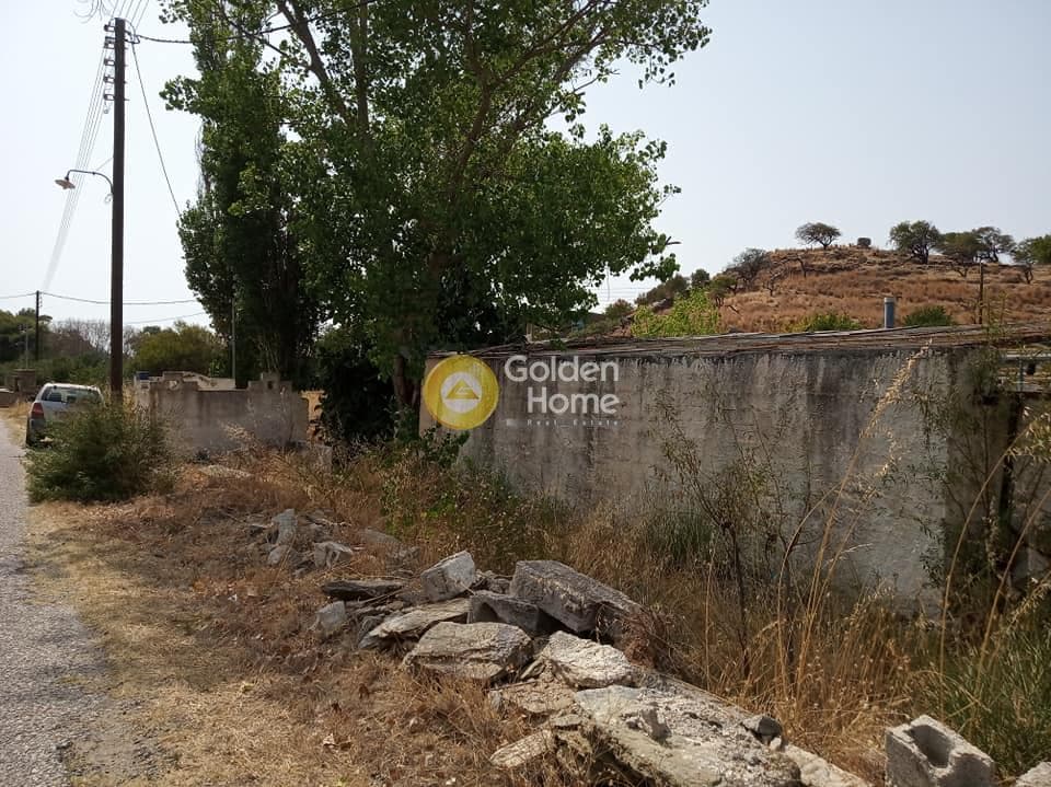Building Plot in Gialiskari, Kea — Photo 8 of 8