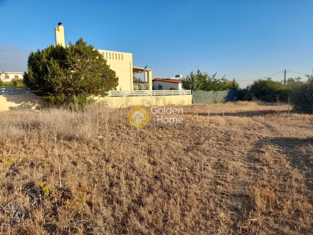 Οικόπεδο στην Μεσαγρός, Αίγινα — Φωτογραφία 3 από 6