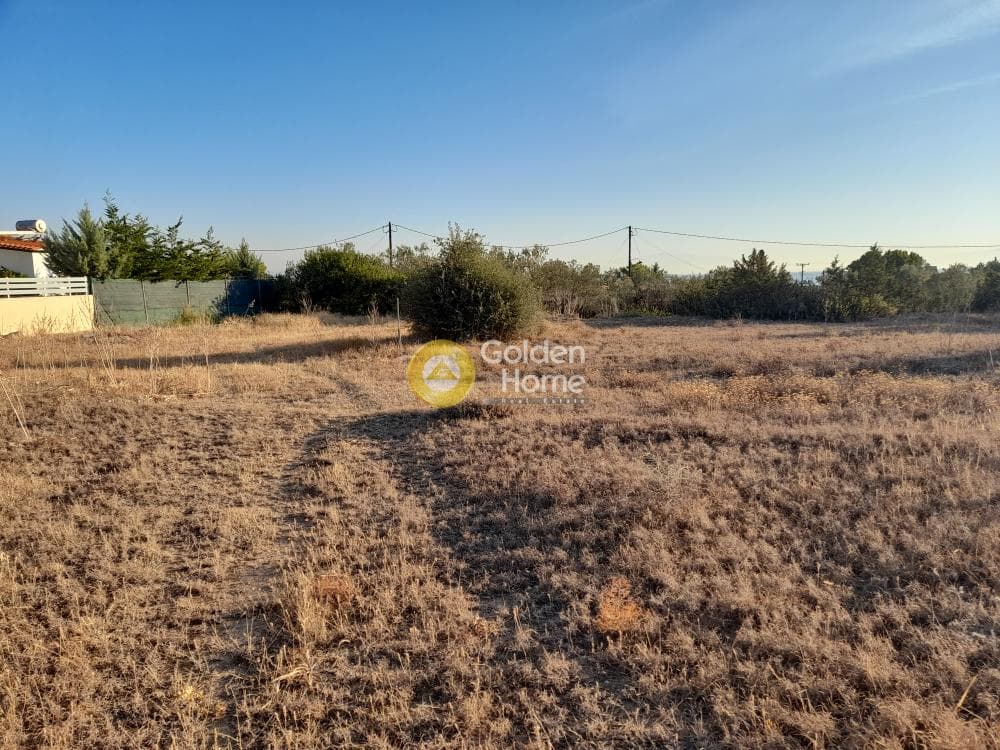 Οικόπεδο στην Μεσαγρός, Αίγινα — Φωτογραφία 4 από 6