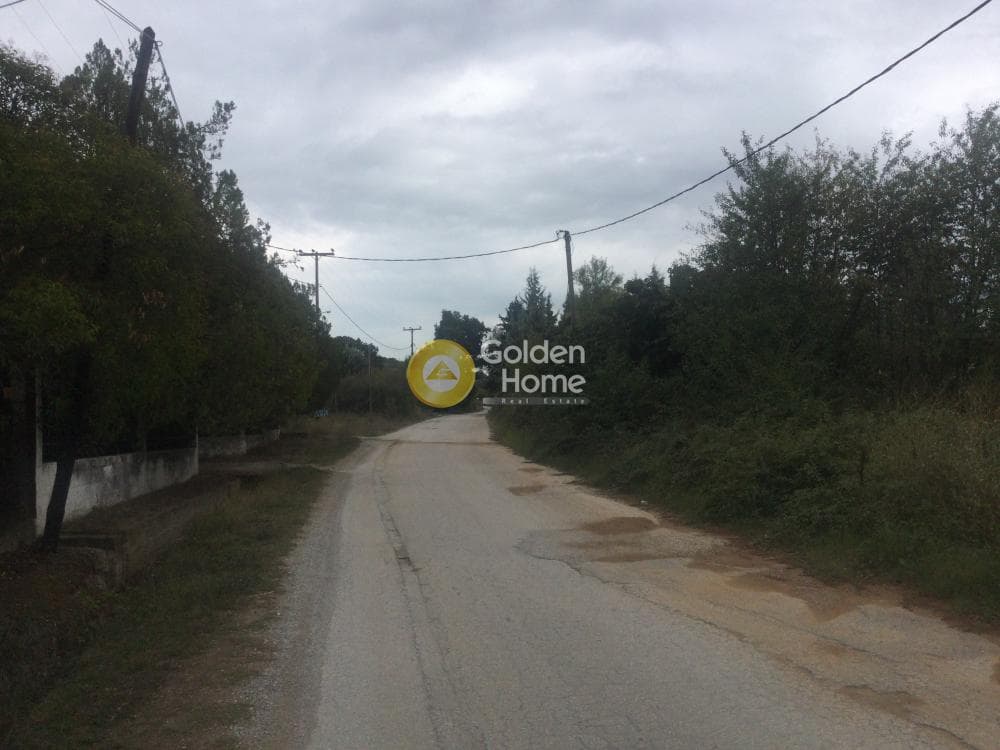 Μονοκατοικία στην Φίλυρο, Πεύκα — Φωτογραφία 1 από 21