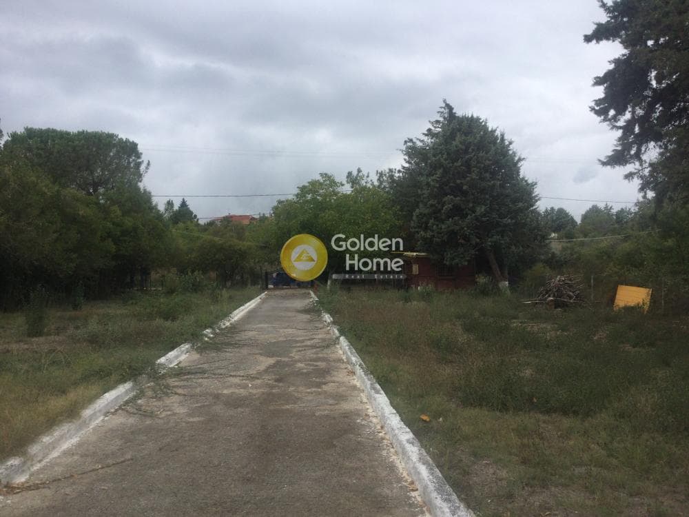 Μονοκατοικία στην Φίλυρο, Πεύκα — Φωτογραφία 2 από 21