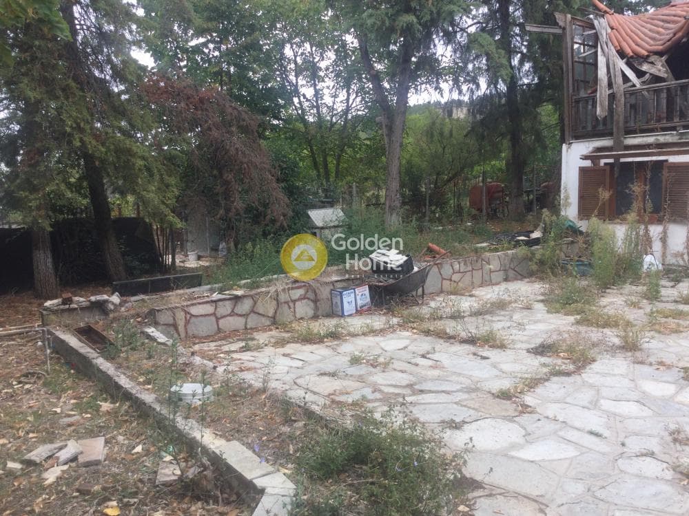 Μονοκατοικία στην Φίλυρο, Πεύκα — Φωτογραφία 4 από 21
