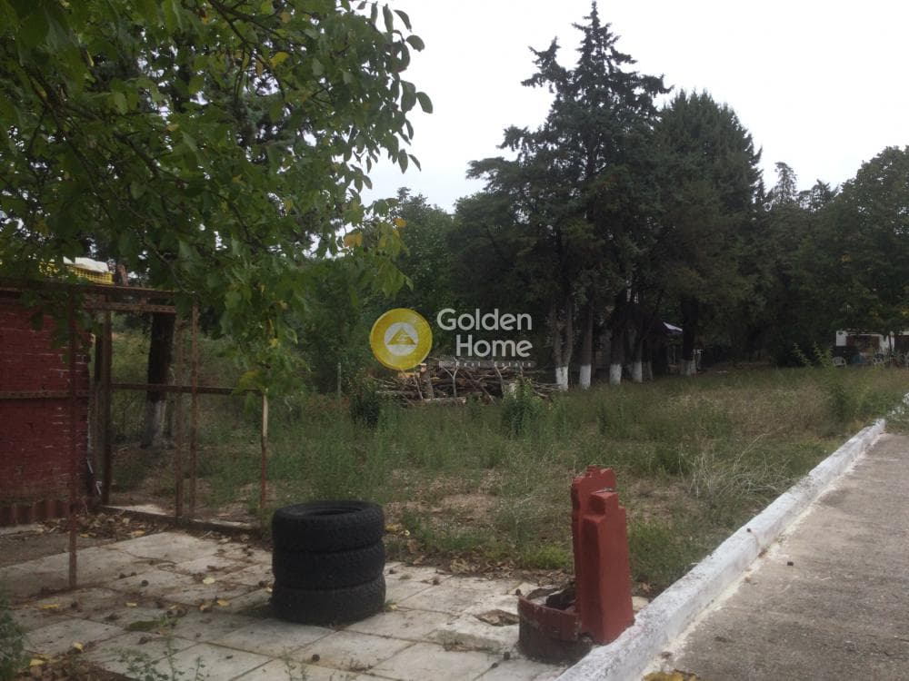 Μονοκατοικία στην Φίλυρο, Πεύκα — Φωτογραφία 8 από 21