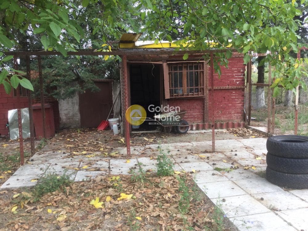 Μονοκατοικία στην Φίλυρο, Πεύκα — Φωτογραφία 9 από 21