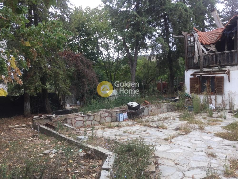 Μονοκατοικία στην Φίλυρο, Πεύκα — Φωτογραφία 10 από 21