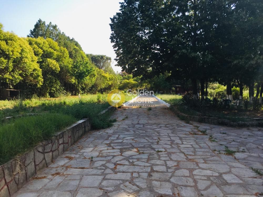 Μονοκατοικία στην Φίλυρο, Πεύκα — Φωτογραφία 12 από 21