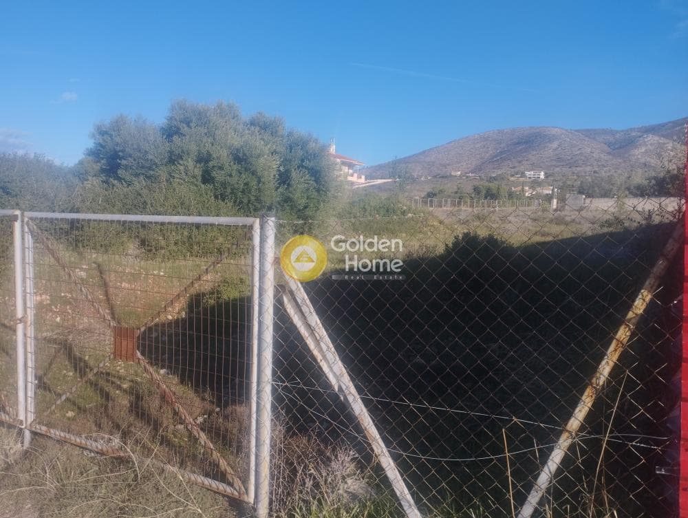 Parcel in Galazia akti, Kalivia Thorikou — Photo 2 of 8