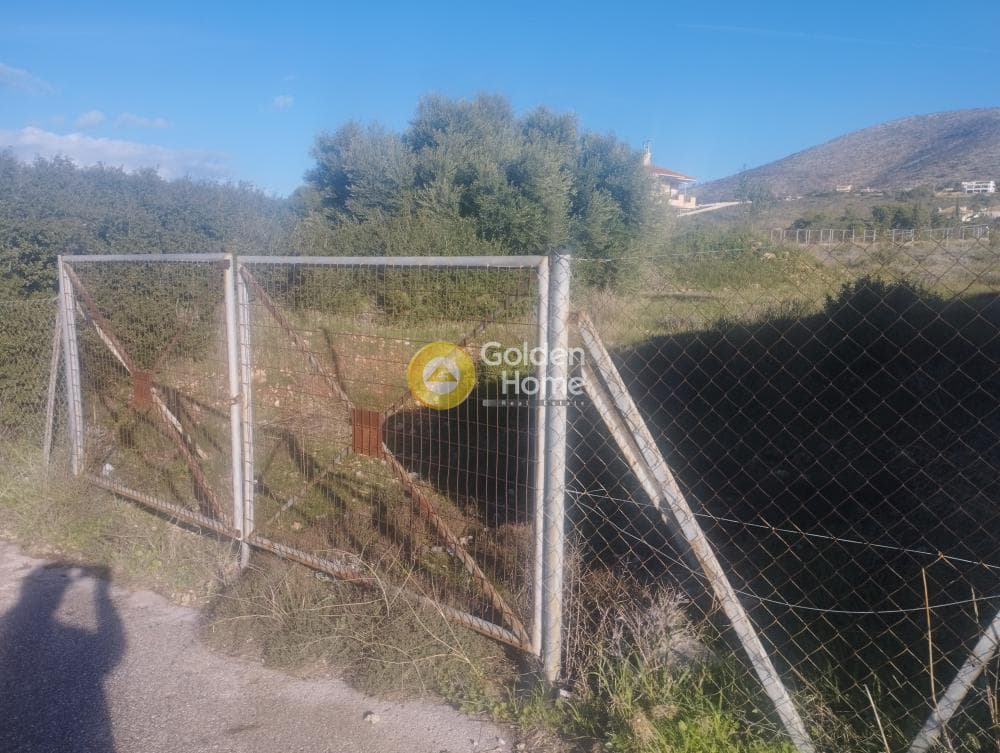 Parcel in Galazia akti, Kalivia Thorikou — Photo 6 of 8