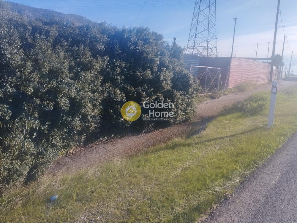Parcel in Galazia akti, Kalivia Thorikou — Photo 5 of 8