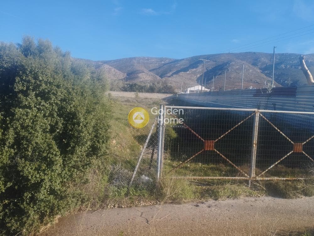Parcel in Galazia akti, Kalivia Thorikou — Photo 4 of 8