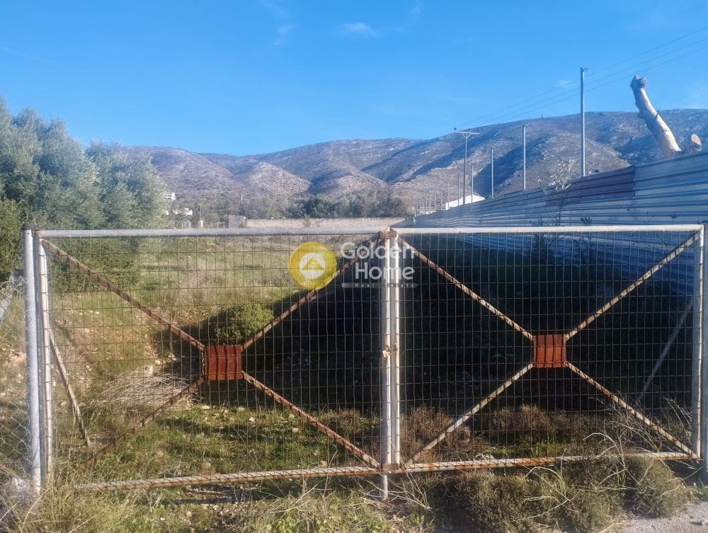 Parcel in Galazia akti, Kalivia Thorikou — Photo 7 of 8