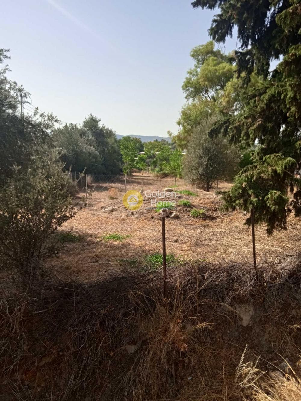 Οικόπεδο στην Πυργούθι, Αχαρνές — Φωτογραφία 3 από 4