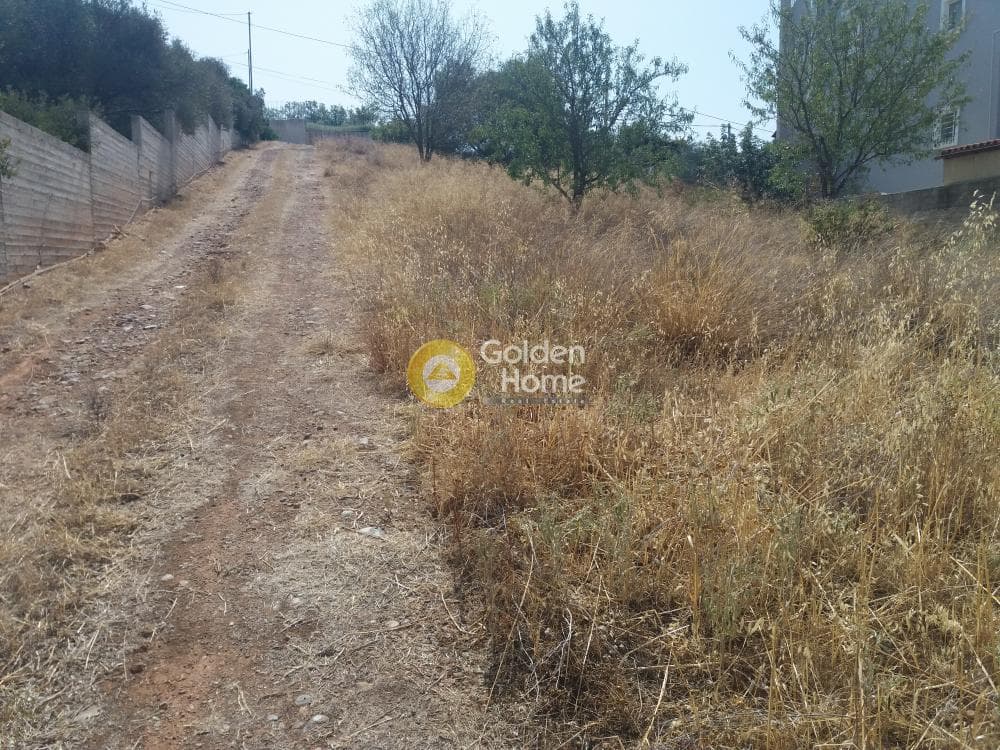 House in ATE, Anavissos — Photo 7 of 7