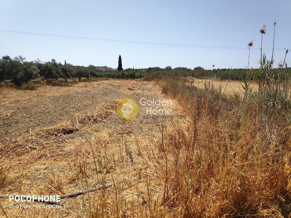 Αγροτεμάχιο στην Πετροκεφάλι, Μοίρες — Φωτογραφία 1 από 7