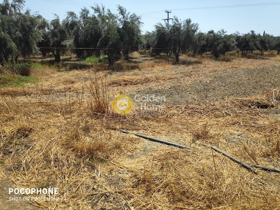 Αγροτεμάχιο στην Πετροκεφάλι, Μοίρες — Φωτογραφία 2 από 7