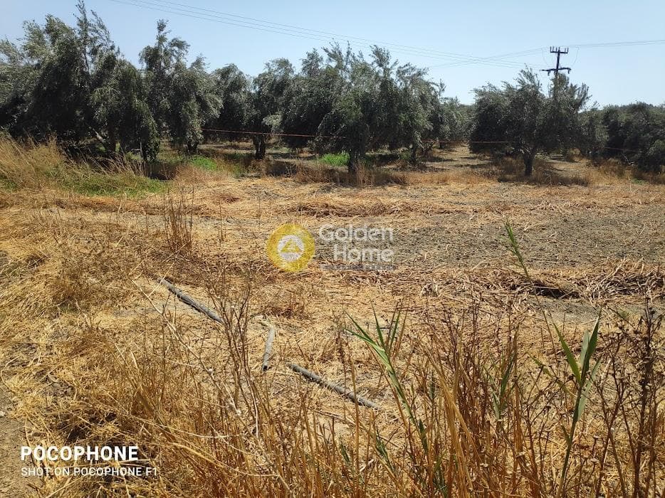 Αγροτεμάχιο στην Πετροκεφάλι, Μοίρες — Φωτογραφία 3 από 7
