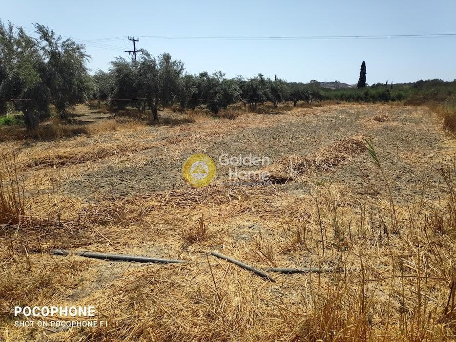 Αγροτεμάχιο στην Πετροκεφάλι, Μοίρες — Φωτογραφία 5 από 7