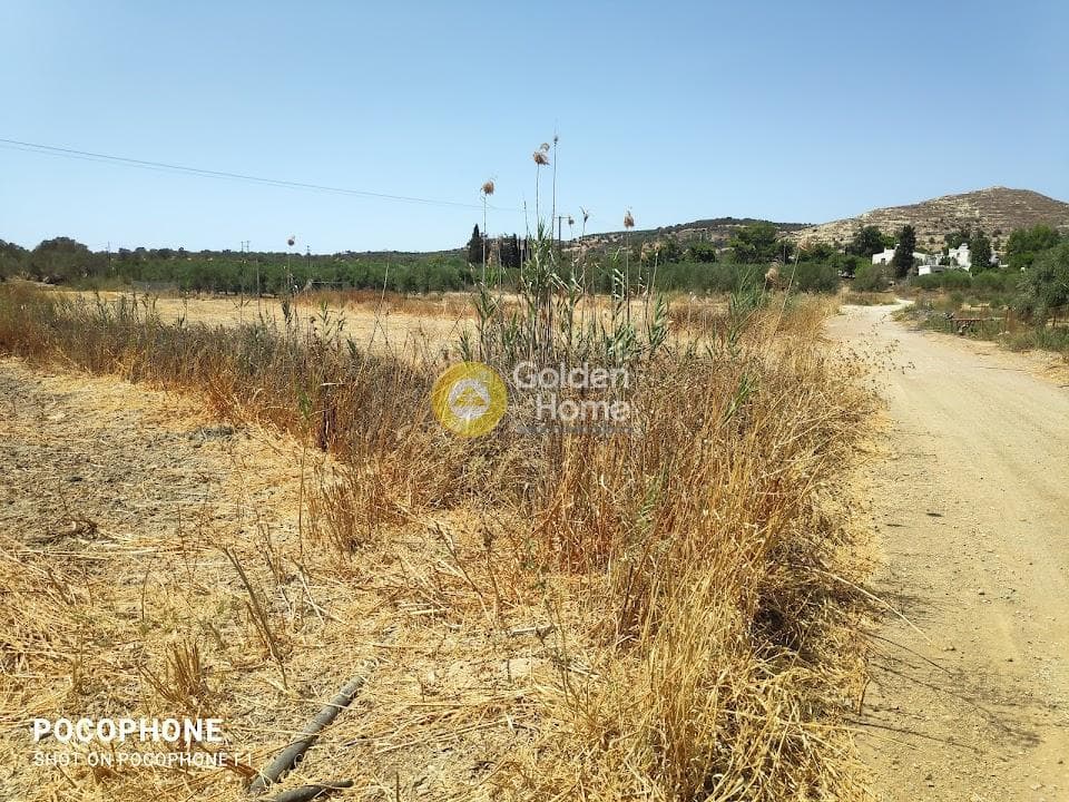 Αγροτεμάχιο στην Πετροκεφάλι, Μοίρες — Φωτογραφία 6 από 7