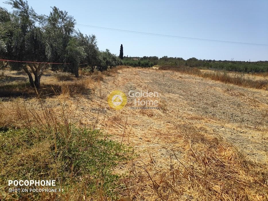 Αγροτεμάχιο στην Πετροκεφάλι, Μοίρες — Φωτογραφία 7 από 7