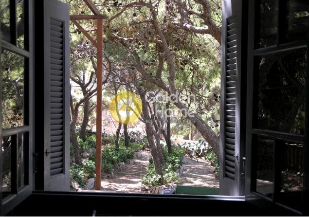 Μονοκατοικία στην Ποσειδωνία, Σύρος — Φωτογραφία 12 από 40