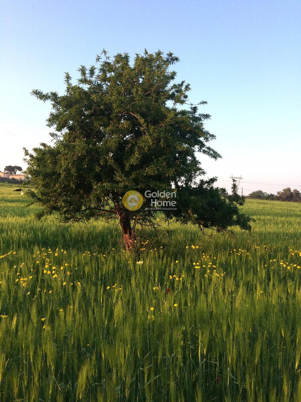 Building Plot in Ano Kalesia, Temenos — Photo 1 of 3