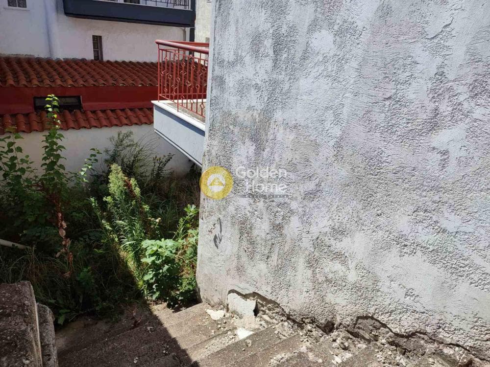 Μονοκατοικία στην Φίλυρο, Πεύκα — Φωτογραφία 9 από 11