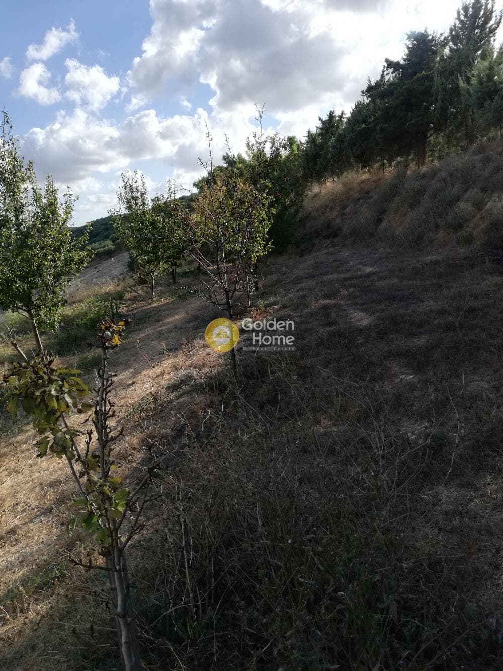Building Plot in Kainourgio Chorio, Episkopi — Photo 6 of 11