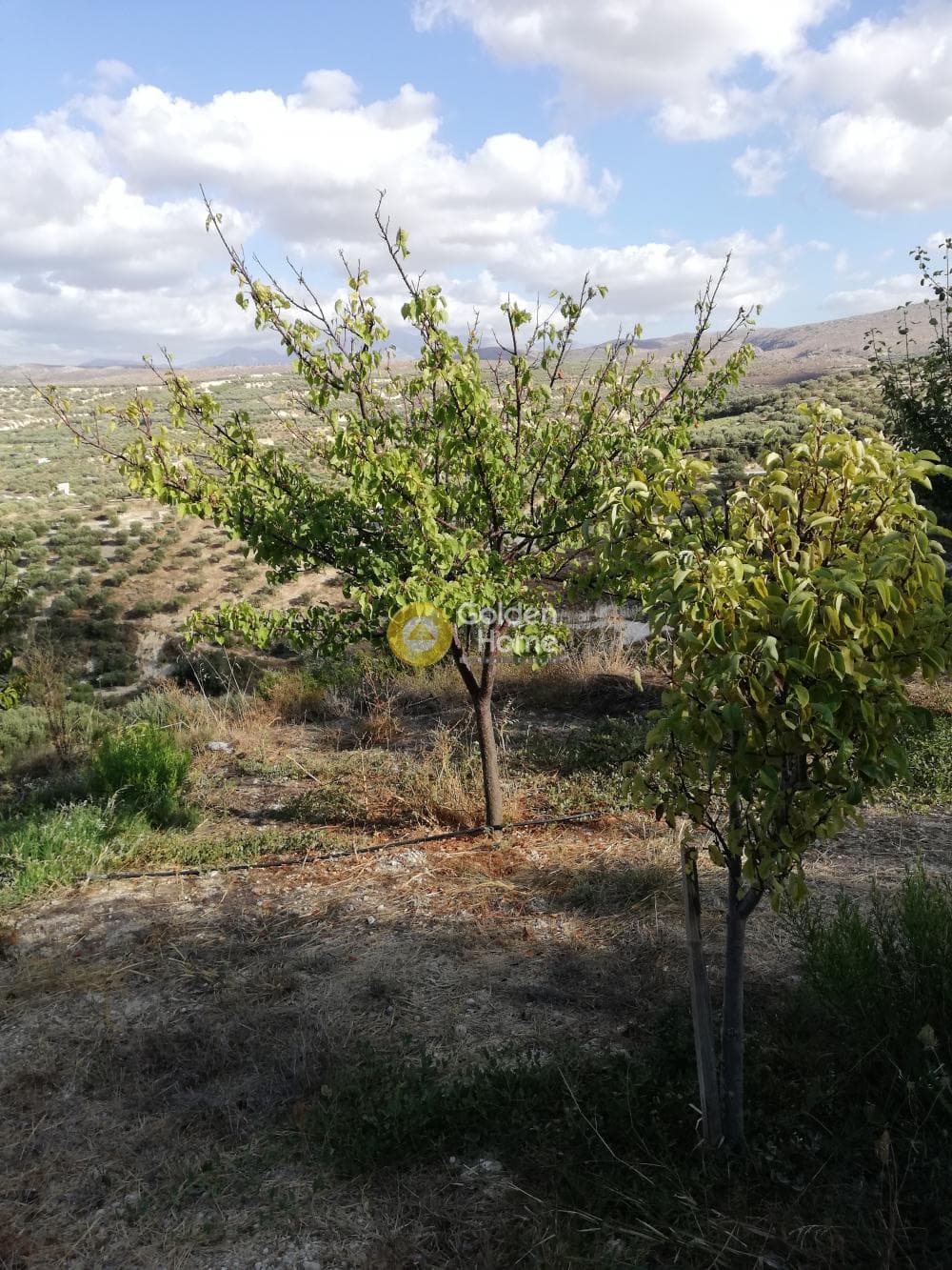 Building Plot in Kainourgio Chorio, Episkopi — Photo 4 of 11