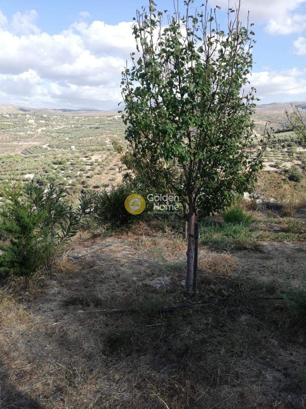 Building Plot in Kainourgio Chorio, Episkopi — Photo 3 of 11