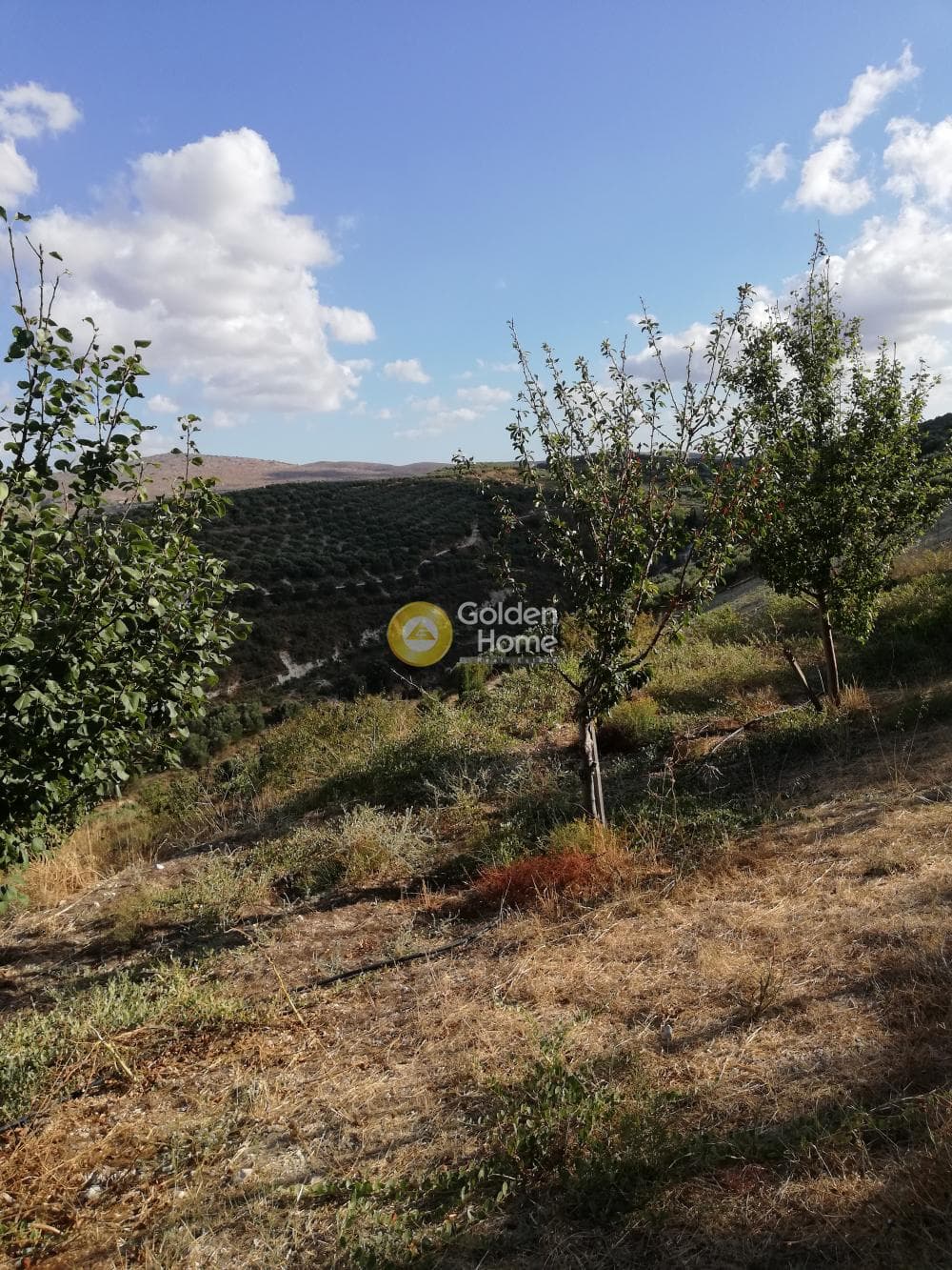 Building Plot in Kainourgio Chorio, Episkopi — Photo 8 of 11