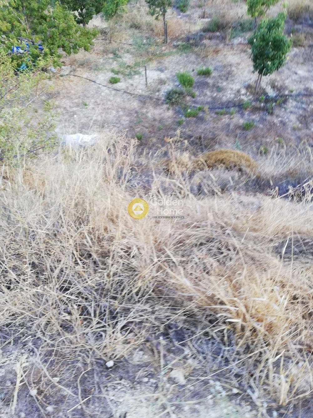 Building Plot in Kainourgio Chorio, Episkopi — Photo 11 of 11