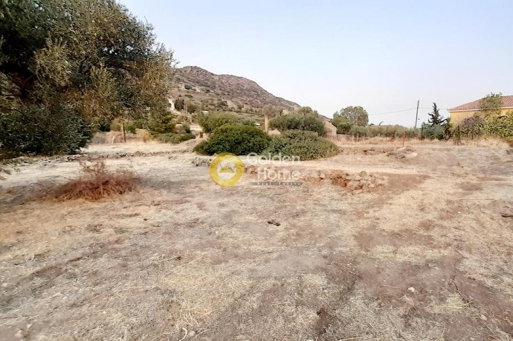 Building Plot in Kipseli, Aegina — Photo 5 of 5