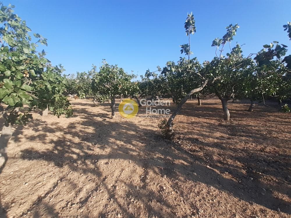 Building Plot in Kipseli, Aegina — Photo 2 of 5