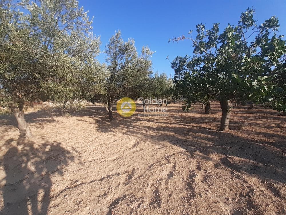 Building Plot in Kipseli, Aegina — Photo 4 of 5