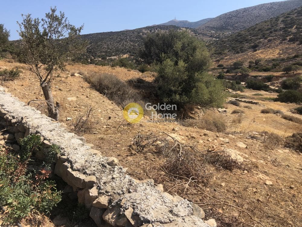 Αγροτεμάχιο στην Καμάρι, Πάρος — Φωτογραφία 2 από 4