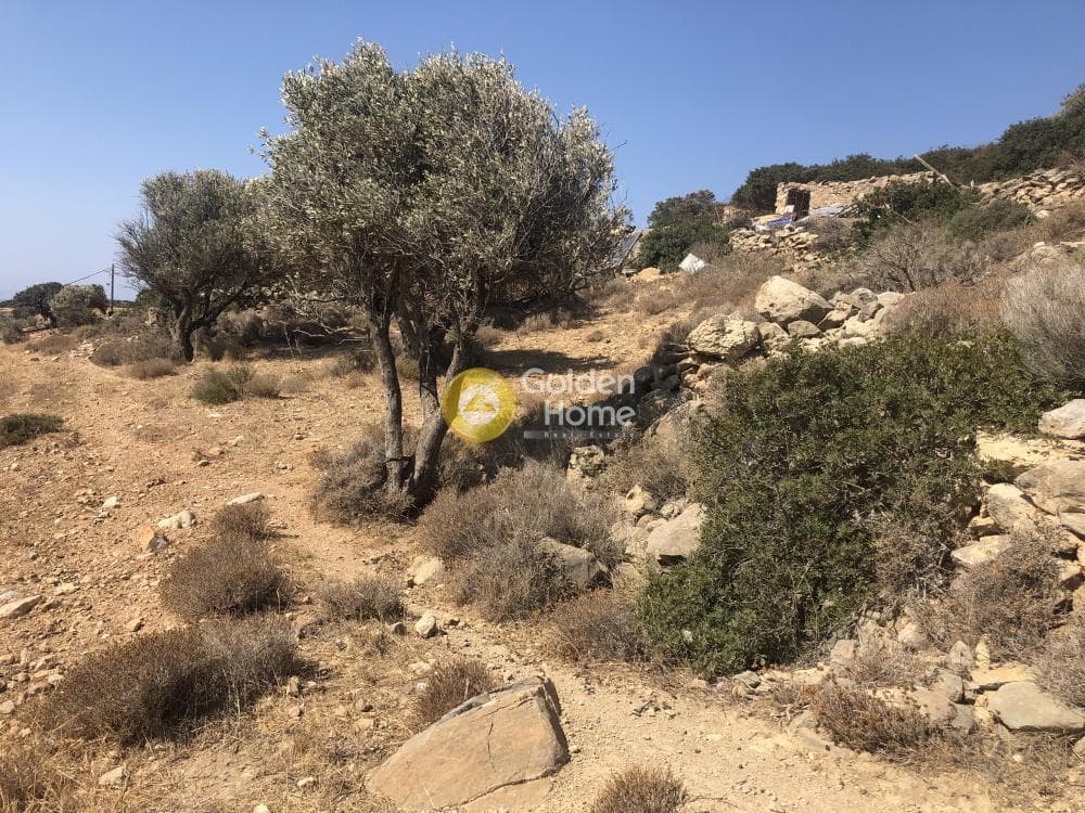 Αγροτεμάχιο στην Καμάρι, Πάρος — Φωτογραφία 3 από 4