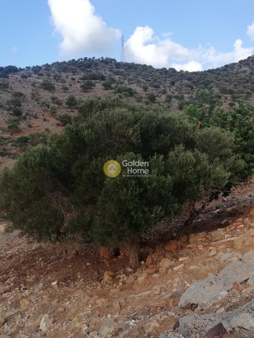 Οικόπεδο στην Σταλίδα, Μάλλια — Φωτογραφία 1 από 5