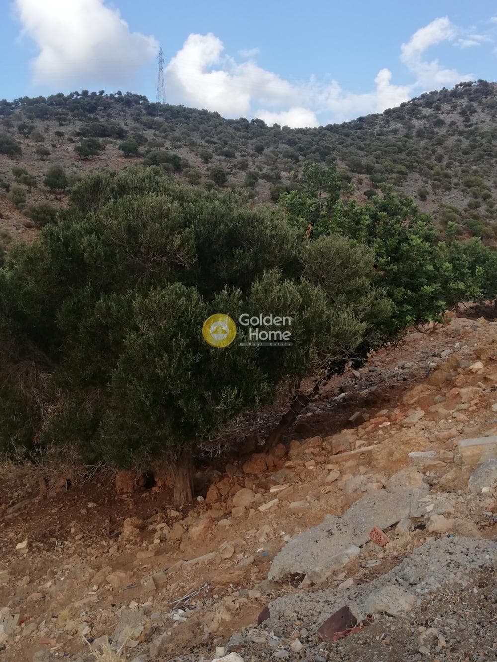 Οικόπεδο στην Σταλίδα, Μάλλια — Φωτογραφία 4 από 5