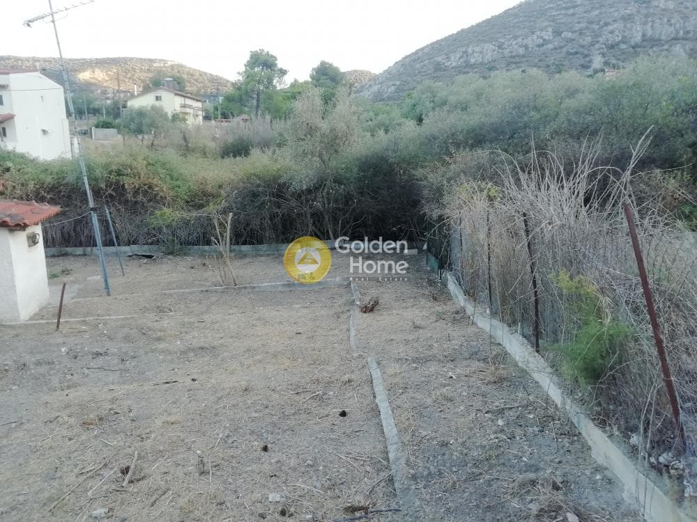 Οικόπεδο στην Πόρτο Ράφτη, Βραυρώνα — Φωτογραφία 1 από 7
