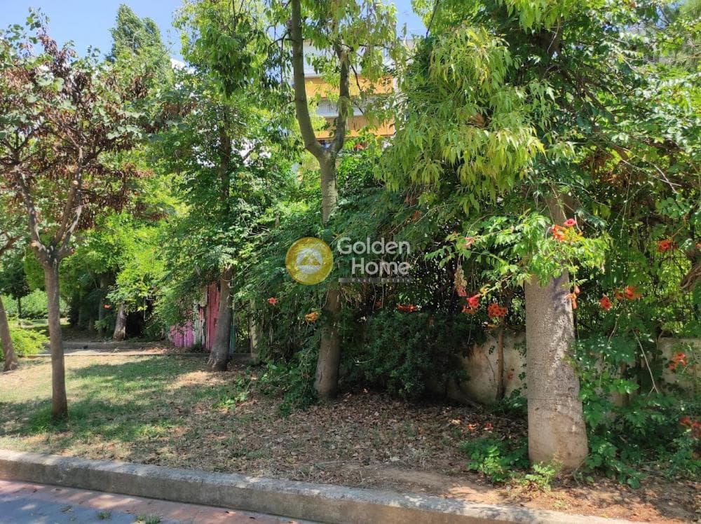 Building Plot in Agios Eleftherios, Agios Eleftherios - Probona - Rizoupoli — Photo 4 of 5
