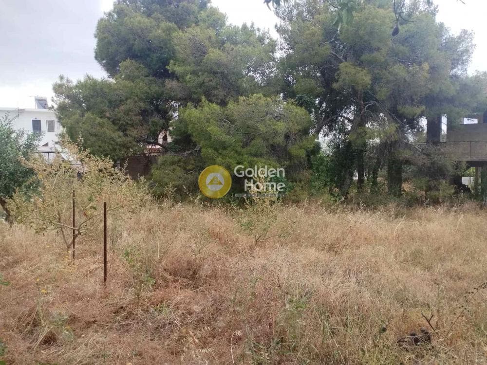 Building Plot in Selinia, Salamina — Photo 2 of 6