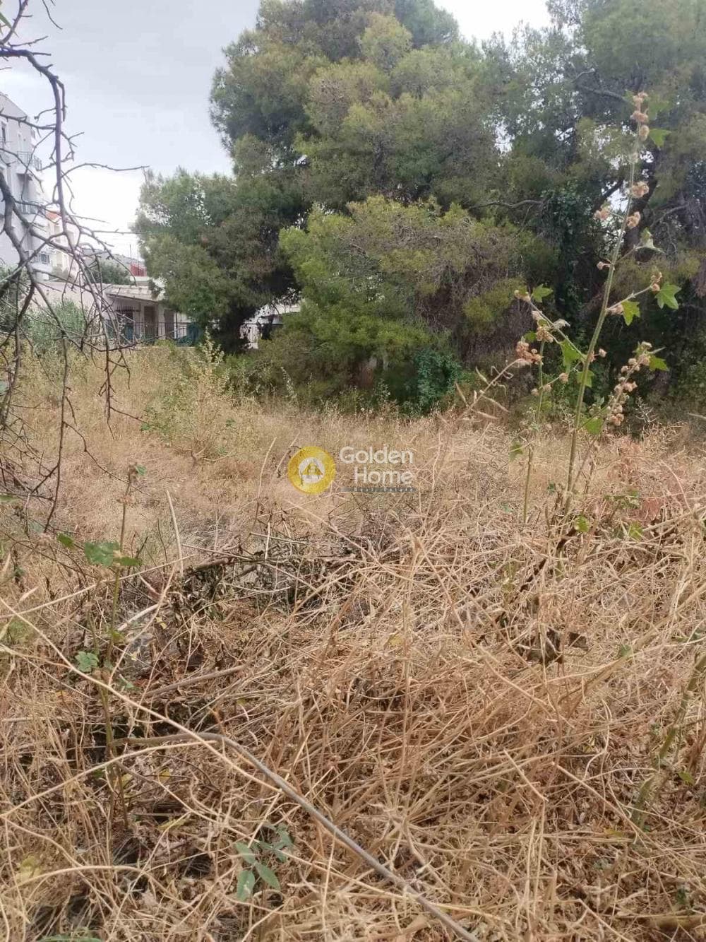 Building Plot in Selinia, Salamina — Photo 3 of 6
